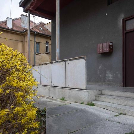 Modern Studio Near British Square Apartment Zagreb Bagian luar foto